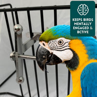 Bird Toys for Large Birds Stainless Steel Bird Toy with Traveling - Spinner - image 4