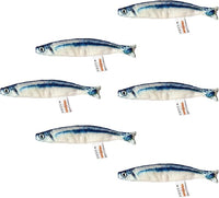 6 PCS Cat Fish Toy Soft and Durable,Cat nip Toy with Catnip Inside, Kicker Toys for Indoor Kitten Exercise,Kitty Teething Chew Toy (6 Sauries)