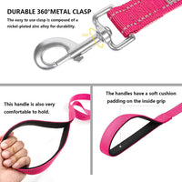6 FT Basic Dog Leash for Medium Dogs - Refl Hot Pink / Medium : 3/4" x 6 FT - image 4