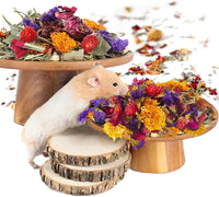 Natural Ear of Grain Flower&Herb Bedding Mate Habitat Decor - Flower path