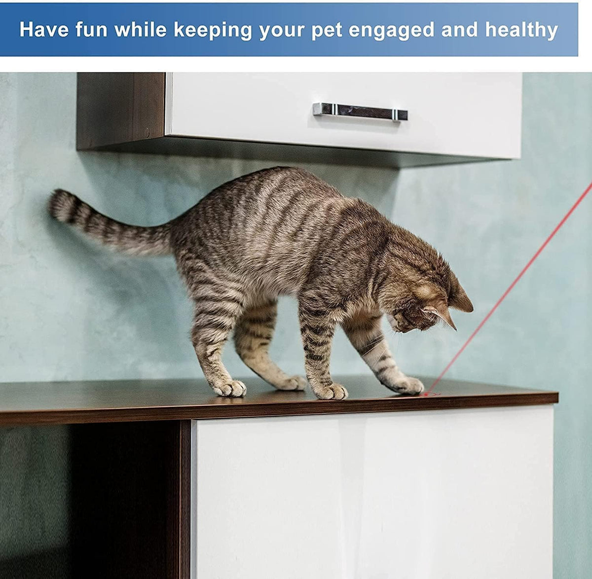 Aluminum alloy rechargeable cat laser pointer toy with clip and USB charging - view 4
