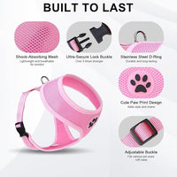 BINGPET Small Dog Harness - Breathable Mesh Puppy Cat Harnesses - No Pull Adjustable Dog Harness Dog Vest Harness for Small and Medium Dogs