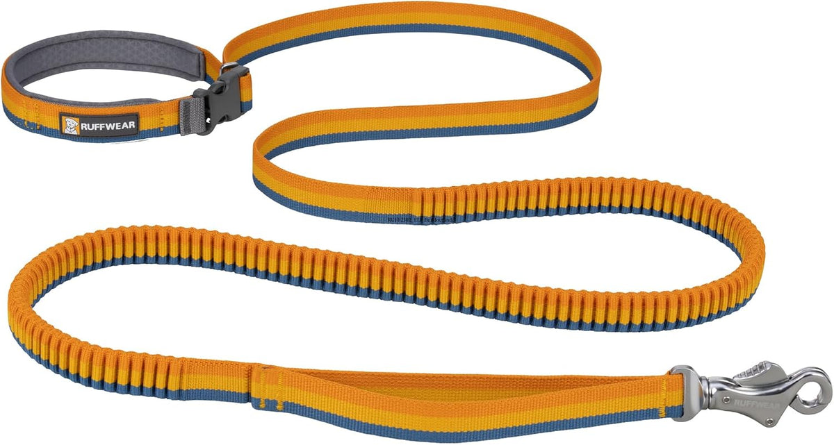 Ruffwear, Roamer Bungee Dog Leash - 7.3'-11' / Yellow Snow
