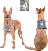 AUROTH Dog Harness for Large Dogs - Grey / XL(Neck:20-31",Chest:26-42"),75-135 lbs - image 2