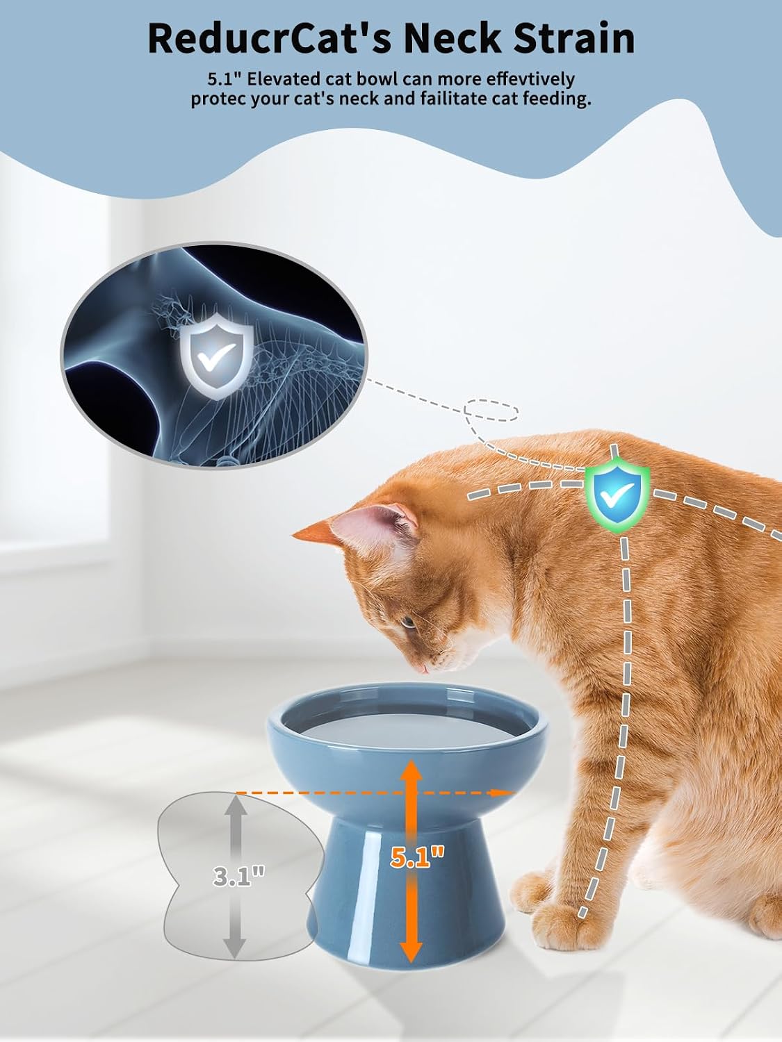 Elevated Cat Food and Water Bowls Set - 2 Pack (Food & Water Bowls) / Deep Blue - image 3