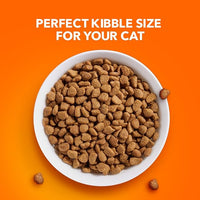 IAMS Proactive Health Adult Healthy Dry Cat Food with Chicken, 16 lb. Bag