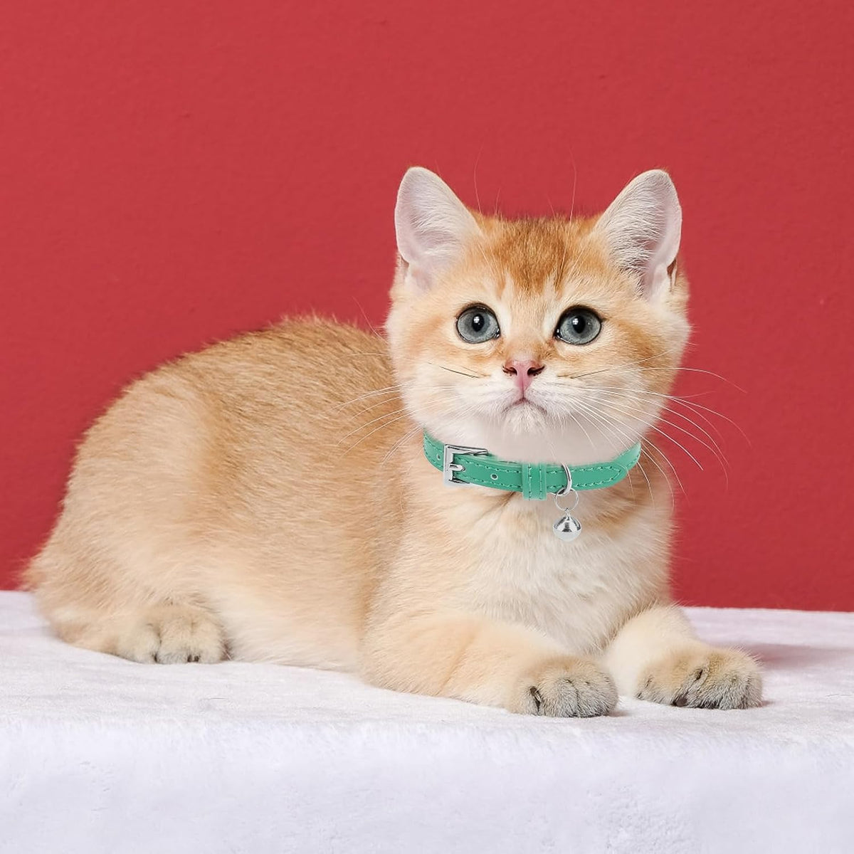 PUPTECK 2 PCS Soft Genuine Leather Cat Kitten Collar with Bells - Blue Green & Bubble Green - image 2