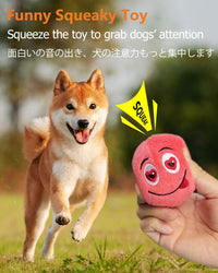SCHITEC Squeaky Dog Toys, [6 Pack] Soft Stuffed Plush Balls with Squeakers, Interactive Fetch Play - Small 2.6" - image 2