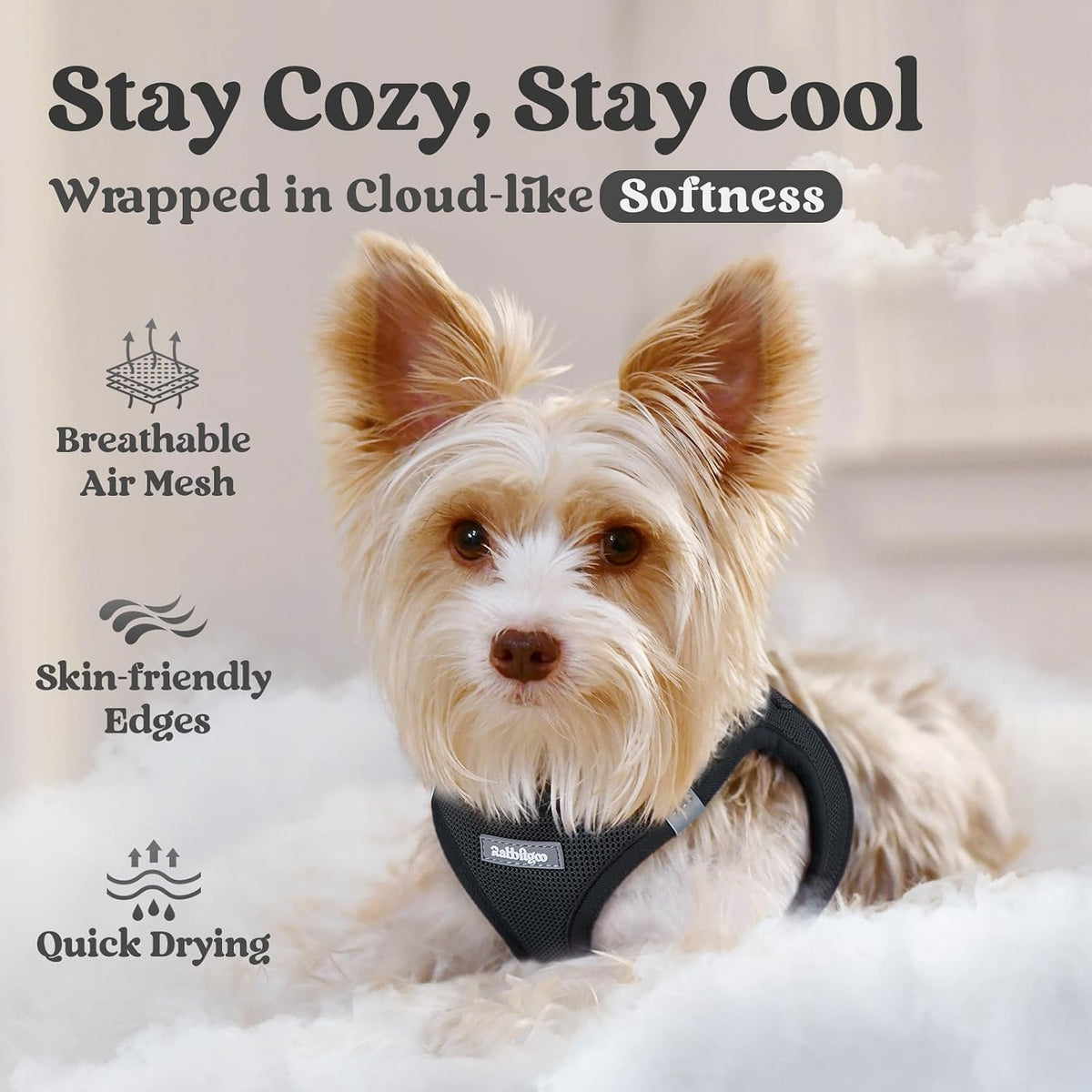 rabbitgoo Step-in Small Dog Harness - Black / Xs(chest:13.3"-15.5") - image 3