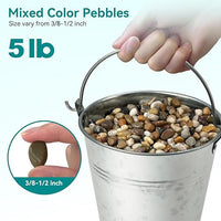 5 lbs Pebbles for Indoor Plants, Vase, Succulent, 3/8" Gravel for Plants, Pots Indoor, Bamboo Rocks for Bamboo Plants, Decorative Small River Rock, Highly Polished