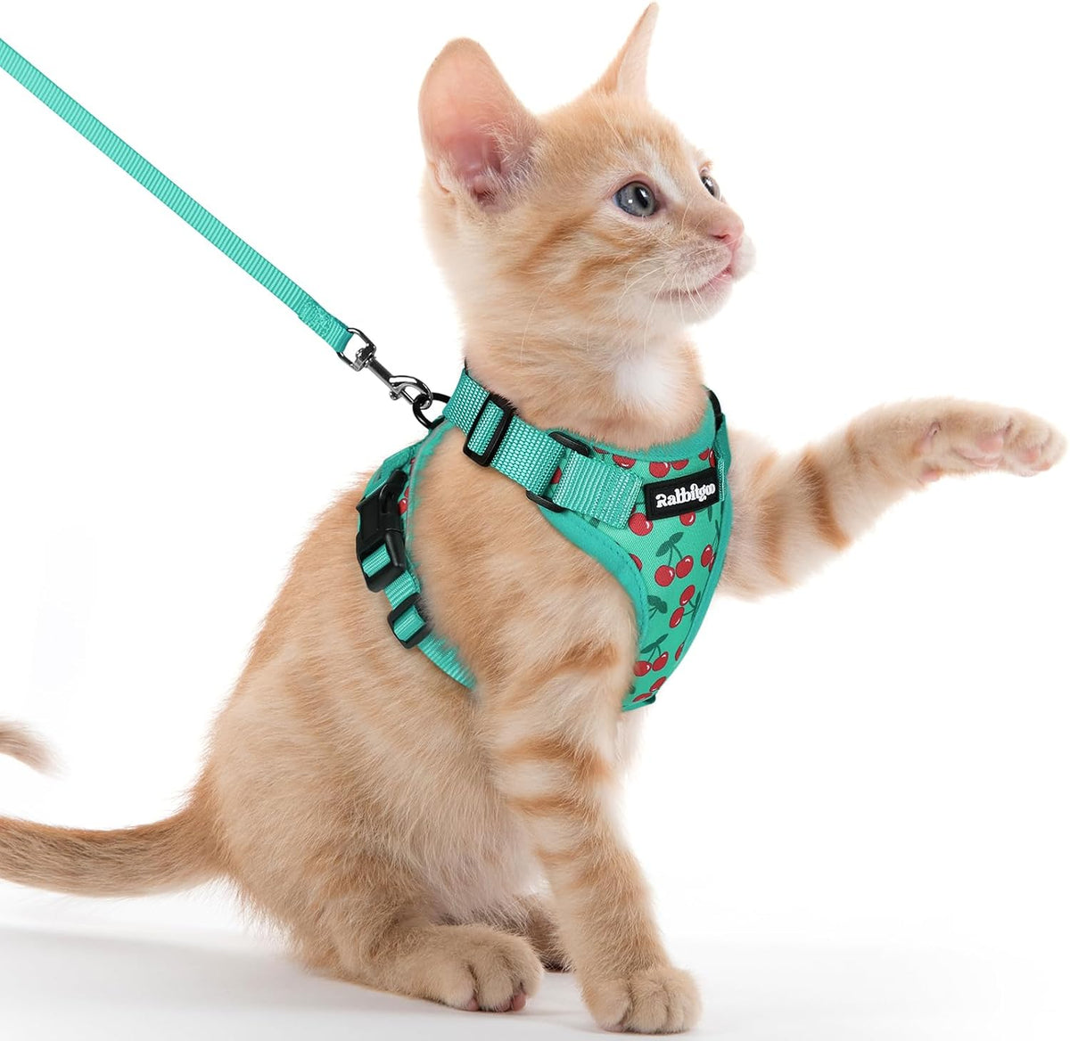 rabbitgoo Cat Harness and Leash Set, Escape Proof Vest - Xxs / Cherry Grove