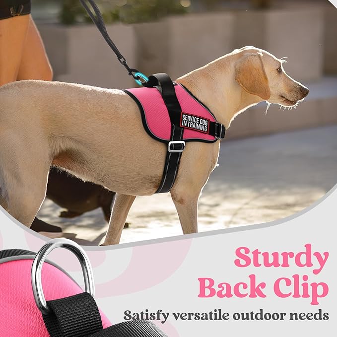 rabbitgoo Dog Harness for Large, Easy On Pet Vest with One Buckle, No Pull Adjustable Service Harness with D-Ring & Handle, Reflective for Safety Walking, Training, Pink, XL