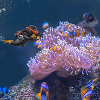 onesimcr Floating Fish Tank Decorations, Aquarium Decorations - Black - image 2