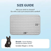 MICROCOSMOS Summer Cooling Mat & Sleeping Pad- Water Absorption Top, Easy Carry, EZ Clean, Materials Safe. Keep Cooling for Pets, Kids and Adults.(Grey, 28" x 22") Gray