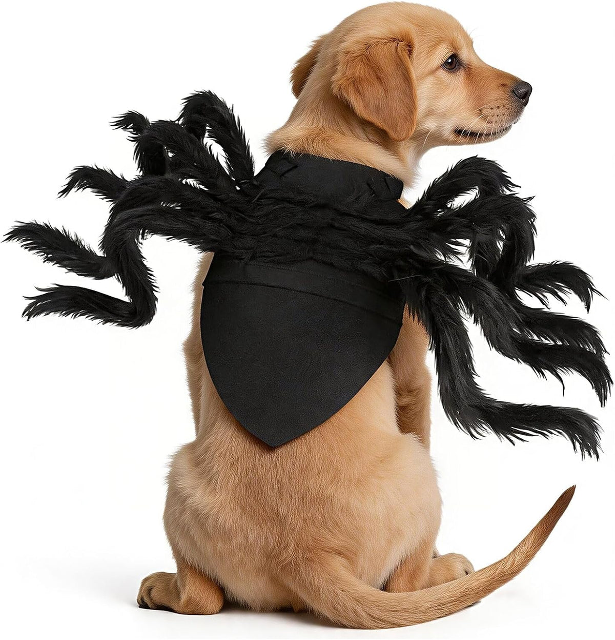 Halloween Spider Costume for Dog Cat - Large