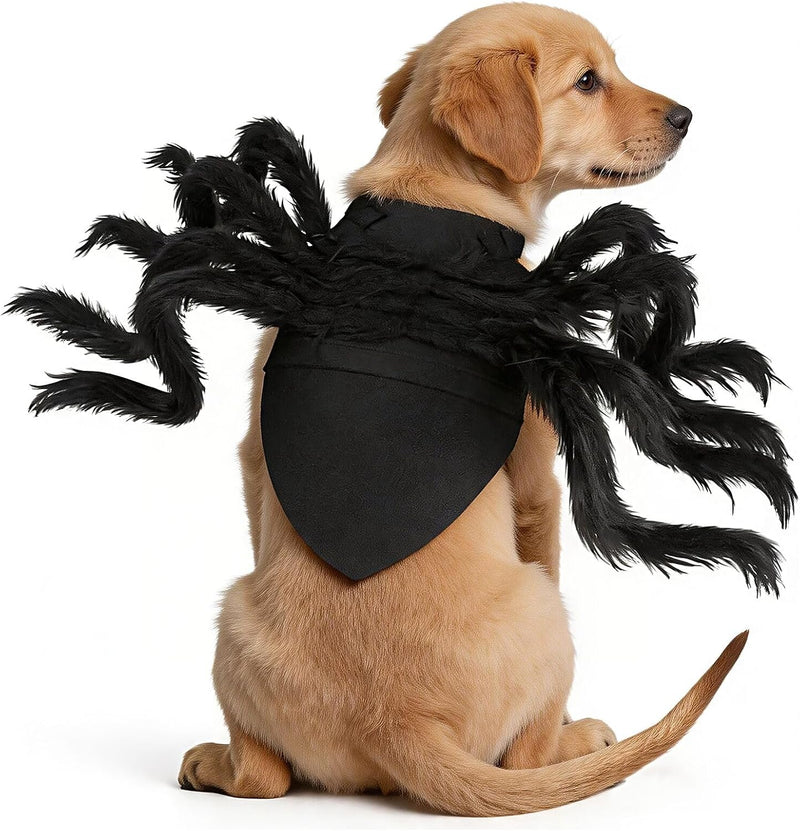 Halloween Spider Costume for Dog Cat - Large
