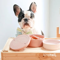 Dog Travel Bowls - Set of 2 Portable Pet Food & Water Dishes with Lid & Handle - Each Nesting - Rose Pink / Small - image 3