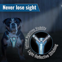 No-Pull Dog Harness with Handle - Escape Proof, Anti-Pulling, Grip Control, Multi-Angle Reflective for Safe Walks & Training, Easy On & Off, Metal Buckle–Pet Harness, Medium/Large Dogs- H3- Blue
