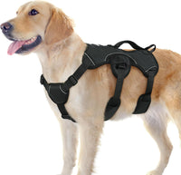 rabbitgoo Escape Proof Dog Harness for Large - Black / Large