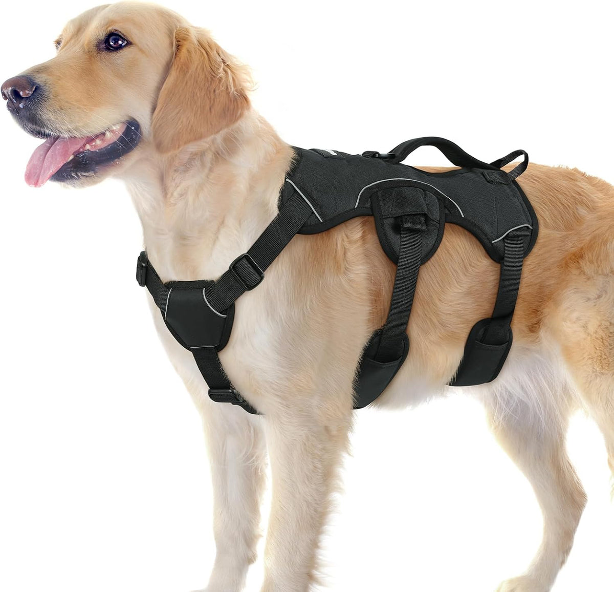 rabbitgoo Escape Proof Dog Harness for Large - Black / Large
