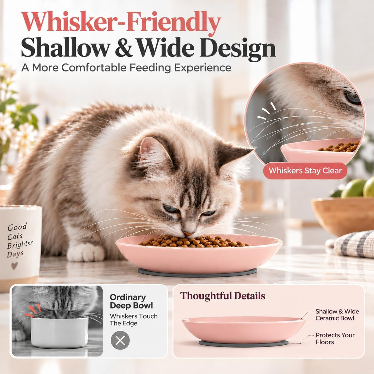 Ceramic Cat Food Bowls 6 Pack - Solid - Separate Pads - image 3