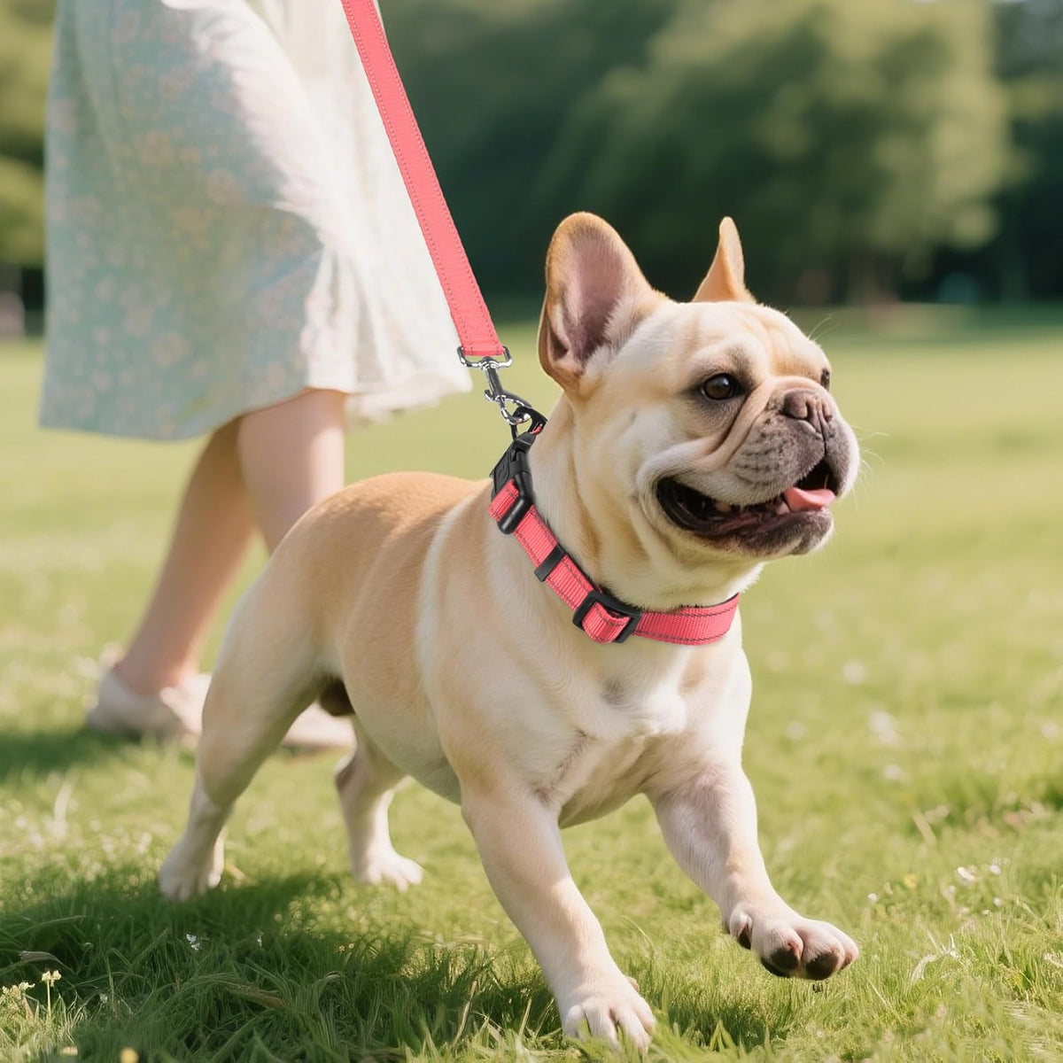 Joytale Reflective Dog Collar, Adjustable Neoprene Padded - Medium (Pack of 1) / Neon Pink - image 3