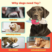 3pcs Dog Squeaky Toys, Plush Stuffed Puppy Chew Toy for Extended Play, Interactive Toys Great Gifts for Small Medium Large Chewer Dogs, Pet Toy Bulk to Keep Them Busy(Forg&Hippo&Pig)
