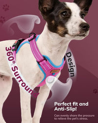 MIDOG No-Pull Dog Harness | Adjustable & Reflective Pet Harness Leash Set for Small Medium Large Dogs Walking, Training| No Choke, Front Clip, Soft Padded Vest with Easy Control Handle - Pink, L