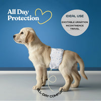 Comfortable Male Dog Diapers, FlashDry Gel Technology - 30 Pack / Small - image 2