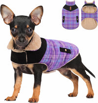 Dog Winter Coats for Small Dogs Puppies - Purple / Medium