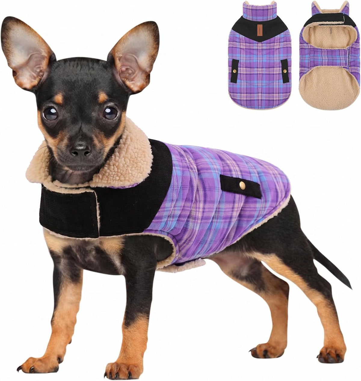 Dog Winter Coats for Small Dogs Puppies - Purple / Medium