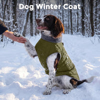 Fleece Dog Jacket for Small Dogs, Puppy Coat with Harness - Green / Medium - image 2