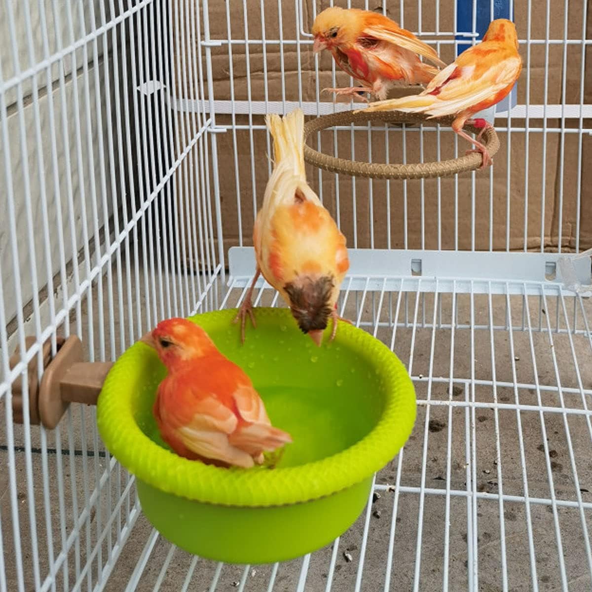 FOIBURELY Multi-Function Caged Bird Bath Bird Cage Parrot Supplies - image 4
