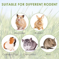 ERKOON 24Pcs Bunny Chew Toys, Small Animal Molar Toys Timothy Grass Beet Sweet Potato Pumpkin Cake Treats for Guinea Pig Hamster Bunny Chinchilla Gerbil, 100% Natural Rabbit Chews and Treats
