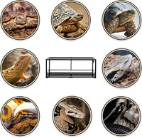 REPTI ZOO 67 Gallon Reptile Large Terrarium Newly Upgraded All Glass 48" x 18" x 18" Double Hinge Door with Top Ventilation Reptile Terrarium(Knock-Down)