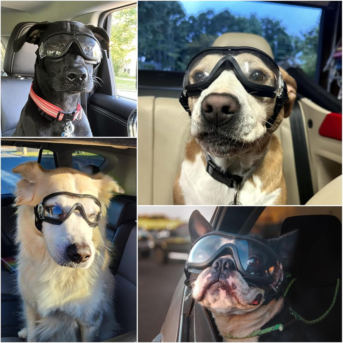 Medium Clear Dog Goggles Eye Protection - Style Clear / Large - image 2