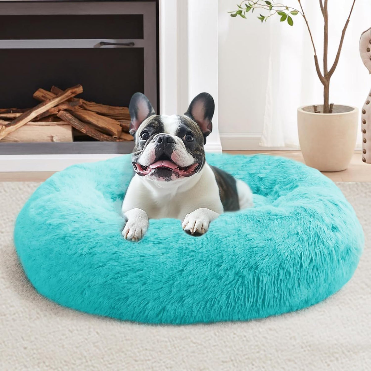 JOLLYVOGUE Small Dog Bed, Calming Dog Beds for Small Dogs & Indoor Cats - 20 Inches Donut Washable - Aqua Blue / 31.0"L x 31.0"W x 8.0"Th