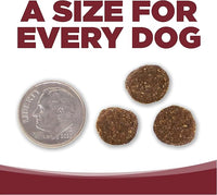 NutriSource Dog Food, Made with Beef and Brown Rice, Wholesome Grains, 5LB, Dry Dog Food