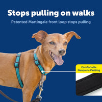 PetSafe 3 in 1 No-Pull Dog Harness, Walk, Train or Travel - Teal / Extra Small (Pack of 1) - image 3