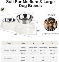Double Dog Bowls Set – Non-Slip Pet Food & Water Dishes with Resin Stand, Includes Small (1 Cup) & Medium (2 Cups) Bowls – Ideal for Puppies, Cats, and Medium Dogs – White