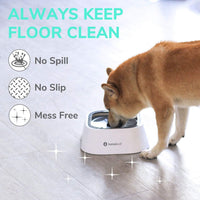 LumoLeaf No Spill Water Bowl for Dogs - Grey / 35 fl oz - image 2