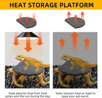 Bearded Dragon Basking Platform - M: 9×8.7×3.7 inch | Style-A - image 3