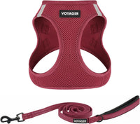 Voyager Step-in Air Cat Harness & Leash Set, XS - Burgundy / XXS (Chest: 12 - 13.5")