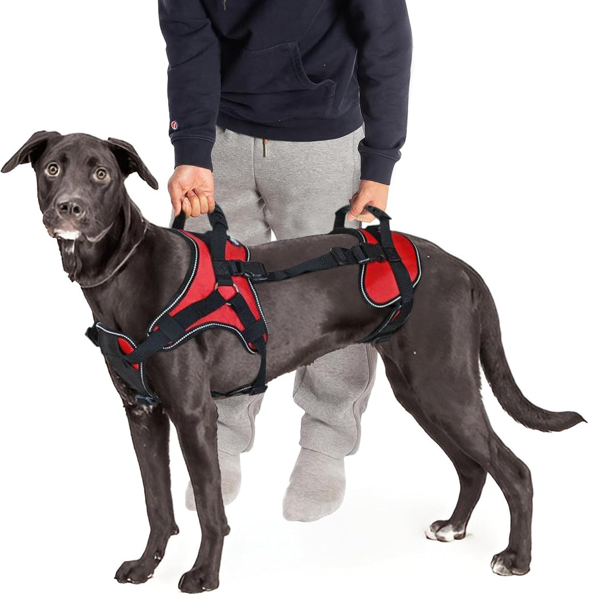 Doggie Stylz full body dog lifting harness with rubber handles