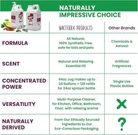 Naeterra Aromatherapy Cleaning Concentrate 64 oz Natural Multi-Surface Cleaner, Plant-Based and Biodegradable, Makes 24 Gallons, Cleaning Essential Oil Formula, Safe for Families and Pets
