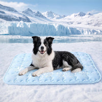 Luciphia Dog Cooling Mat, Q-MAX>0.5 Non-Slip Self-Cooling Pad for Pets – Essentials for Dogs - Light Blue / 40x60 inches