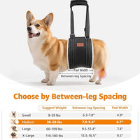 LOOBANI Portable Dog Sling for Back Legs, Hip Support Harness to Help Lift Dogs Rear for Canine Aid and Old K9 Cruciate Ligament Rehabilitation