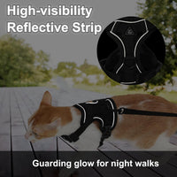 Cat Harness and Leash, Reflective Cat Harness Escape Proof for Walking, Adjustable Kitten Harness - X-Large / Turquoise - image 3