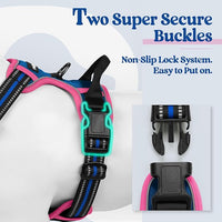 rabbitgoo Dog Harness No Pull with 2 Leash Clips, Adjustable Soft Padded, Reflective Oxford No Choke Pet Vest with Easy Control Handle for Large Dogs, Blue & Hot Pink, M