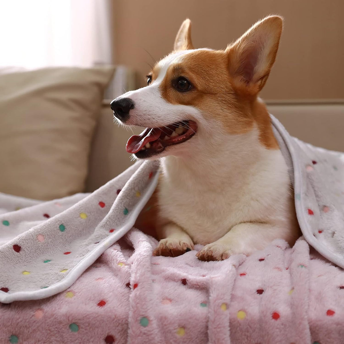 1 Pack 3 Blankets Super Soft Cute Dot Pattern Pet Blanket Flannel - Brown2 / 30x20 inch (Pack of 3) - image 3